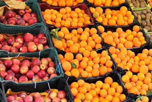 مصوبه طرح خرید، ذخیره سازی و توزیع میوه شب عید ابلاغ شد