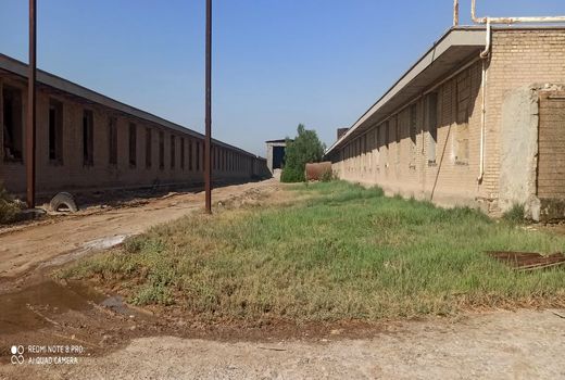 بازدید عوامل نظارتی از طرح مرغداری گوشتی در آبادان