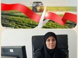 افتتاح 21 پروژه در بخش کشاورزی شهرستان سربیشه در هفته دولت
