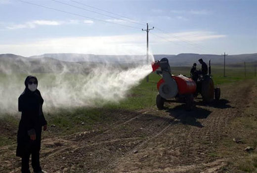 آغاز محلول پاشی مزارع طرح جهش تولید در دیمزارهای شهرستان هشترود