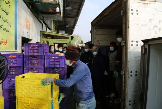 توزیع 341 تن مرغ گرم در میدان پیروزی تهران