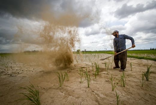 تعاون روستایی تاب‌آوری کشاورزان را در برابر تغییر اقلیم افزایش می‌دهد