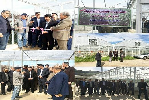 افتتاح اولین گلخانه هیورپونیک زمین گرمایی درمینودشت 