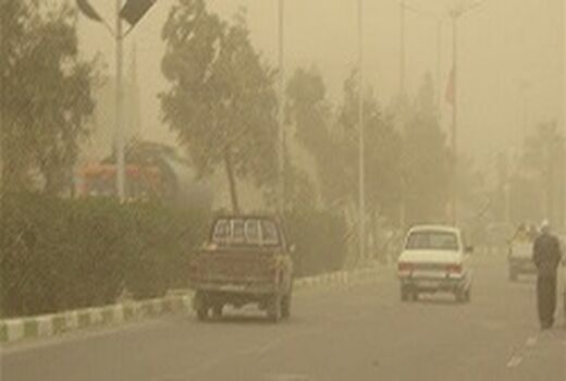 کاهش ۷۰ درصدی انتشار ریزگردها در ایلام/ نهال کاری۲۰۰ هکتار از مناطق مستعد تولید گرد و غبار