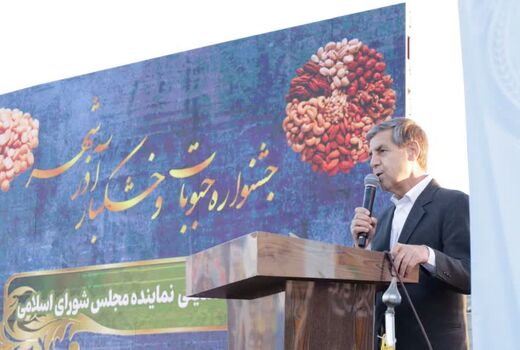 آذرشهر قطب جهانی تولید حبوبات و خشکبار 