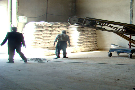 توزیع بیش از 12 هزار تن آرد روستایی در همدان 