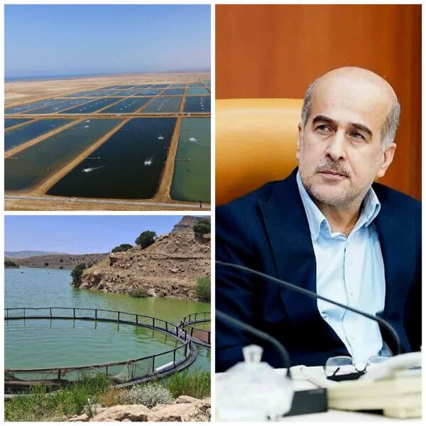 شیلات؛ سنگر امن تولید غذا در شرایط جنگ و بحران‌های منطقه‌ای