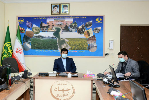 توزیع 50 هزار اصله نهال بصورت رایگان درسطح استان آذربایجان شرقی درهفته منابع طبیعی