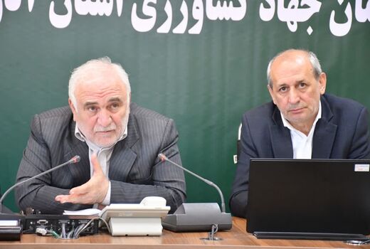 حذف ارز ترجیحی و انتقال آن به انتهای زنجیره اجتناب‌ناپذیر بود