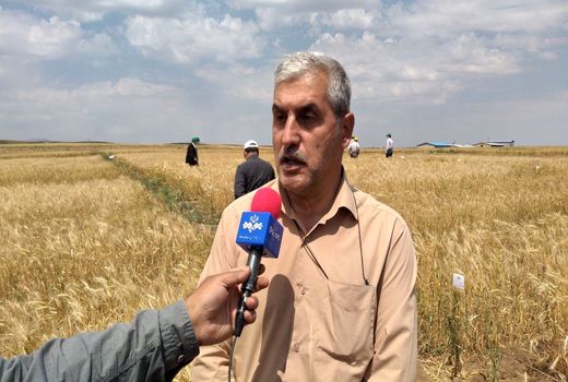 اجرای ۱۲ طرح در موسسه تحقیقات کشاورزی دیم جهت توسعه کشاورزی حفاظتی