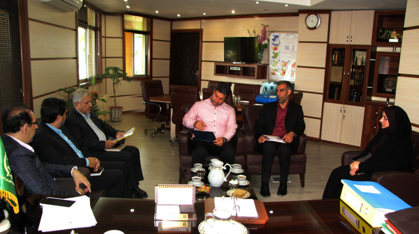 12 درصد تخم مرغ کشور در استان قزوین تولید می‌شود