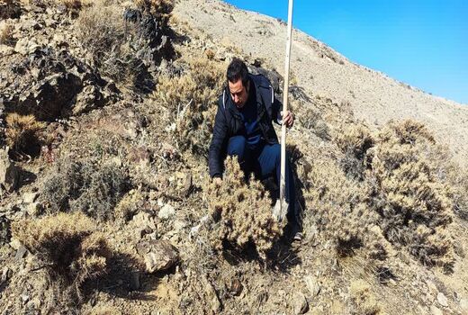 بازدید از اماکن زمستان گذران سن گندم شهرستان بویین زهرا