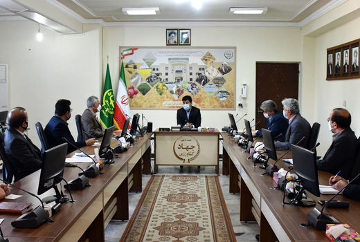 تنظیم بازار قیمت مرغ با کشاورزی قراردادی بین اتحادیه مرغداران و مرغداران 