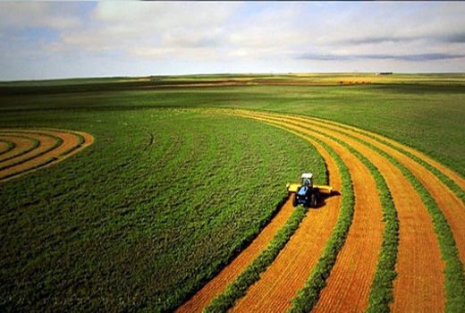 رفع تداخل ٢٩٥٢ هکتار از اراضی کشاورزی شهرستان مراغه به نفع کشاورزان 