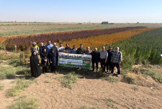 روز مزرعه کینوا در شهرستان بوئین زهرا برگزار شد