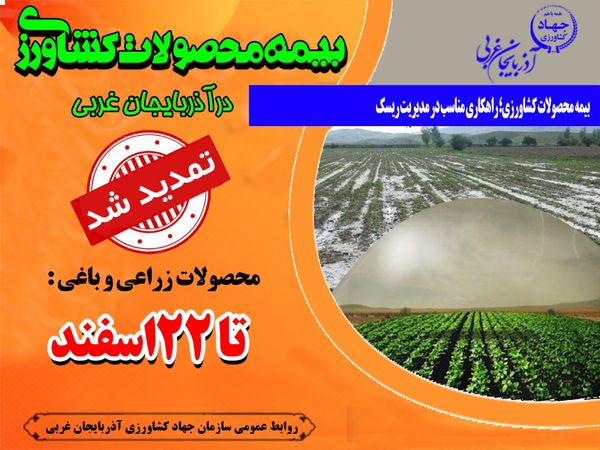 بیمه محصولات کشاورزی نیازمند اطلاع رسانی و آگاهی بخشی است 