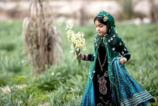 همه در بهار می رویند اما تو در زمستان