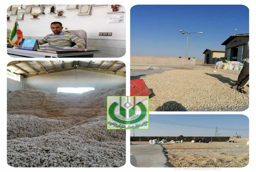 معرفی شرکت تعاونی نمونه روستایی مطهری شهرستان سرایان استان خراسان جنوبی