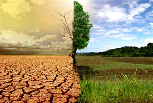 مقابله با بیابان‌زایی نیازمند هم‌افزایی ملی است