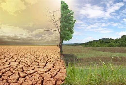 مقابله با بیابان‌زایی نیازمند هم‌افزایی ملی است