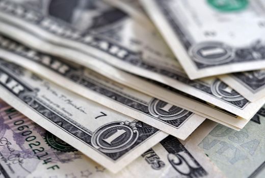 تأخیر در ترخیص نهاده‌ها فشار مضاعفی بر تولیدکنندگان وارد کرد/ هم‌زمانی واردات گوشت و مشکلات ارزی نهاده‌ها