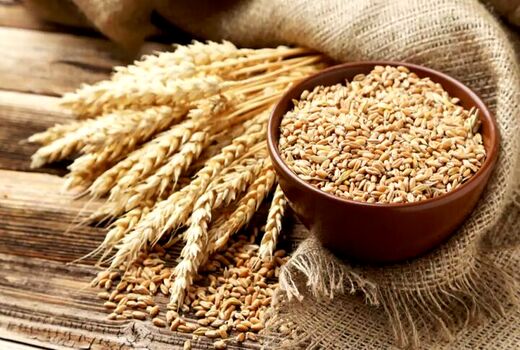 واردات گندم ۴۶ درصد کاهش یافت