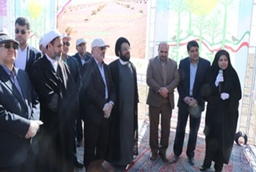 در روز درختکاری سال جاری ده طرح نهالکاری در سطح 2281 هکتار به بهره برداری رسید