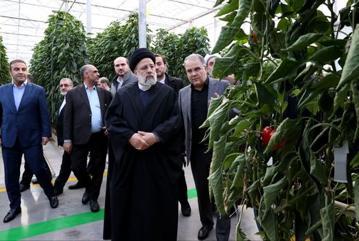 افتتاح دومین گلخانه شیشه‌ای شمال‌غرب کشور در زنجان