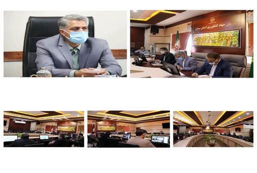 رفع نیازهای بخش کشاورزی استان سمنان با استفاده از ظرفیت دانش‌بنیان‌ها