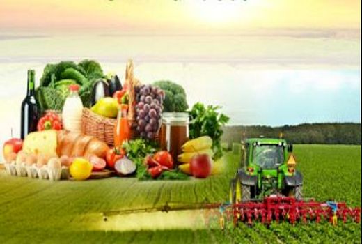 بازاریابی محصولات کشاورزی و دامی