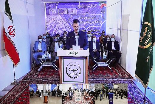 بهره برداری از 571 پروژه بخش دام و طیور در کشور 