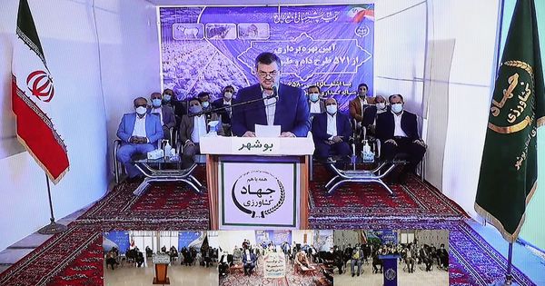 بهره برداری از 571 پروژه بخش دام و طیور در کشور