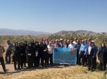 بازدید کارشناسان و باغداران آذربایجان غربی  از باغات پسته یامچی مرند در راستای ترویج کشاورزی پایدار