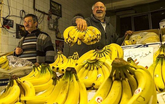 ساماندهی بازار موز؛ ضرورت بازنگری در مسیر واردات برای حمایت از مصرف‌کننده