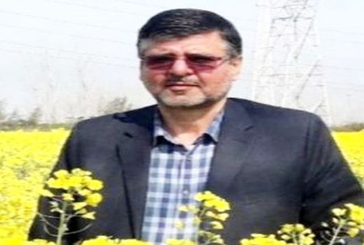 سطح قرارداد کشت کلزا از مرز 56 هزار هکتار گذشت