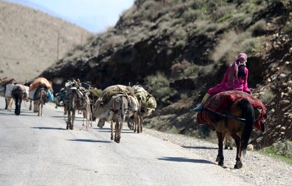 کرونا هزینه کوچ عشایر ایلام را افزایش داد