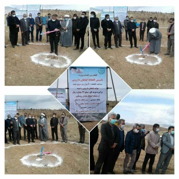 فاز اول گلخانه گیاهان دارویی در شهرستان اسفراین کلنگ زنی شد