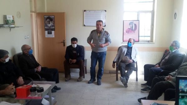 توسعه کشت ارقام جدید گندم دیم توصیه شد