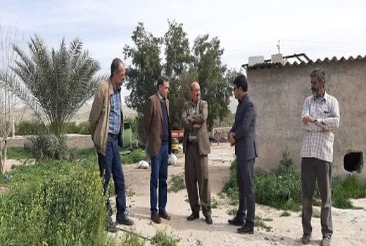 عزم جدی در نهضت گلخانه ای ایجاد شده است 