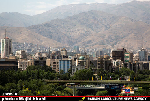 800 شهرداری کشور در معرض ورشکستگی قرار دارند