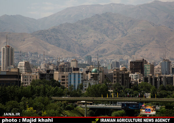 800 شهرداری کشور در معرض ورشکستگی قرار دارند