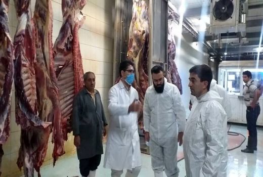 تولید سالانه حدود 37 هزار تن گوشت دام سبک و سنگین در استان آذربایجان شرقی 