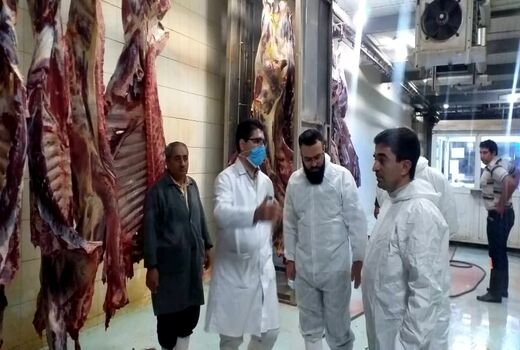 تولید سالانه حدود 37 هزار تن گوشت دام سبک و سنگین در استان آذربایجان شرقی 