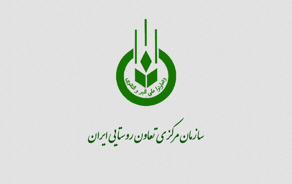 صادرات سیب درختی از سوی اتحادیه باغداران ارتباطی با تعاونی روستایی ندارد 