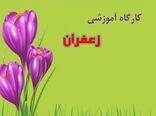 ارائه برنامه‌های آموزشی برای افزایش سطح عملکرد زعفران‌کاران
