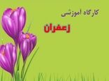 ارائه برنامه‌های آموزشی برای افزایش سطح عملکرد زعفران‌کاران