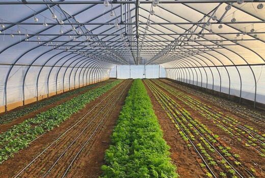 توسعه سطح زیر کشت محصولات گلخانه ای در شهرستان کیار 