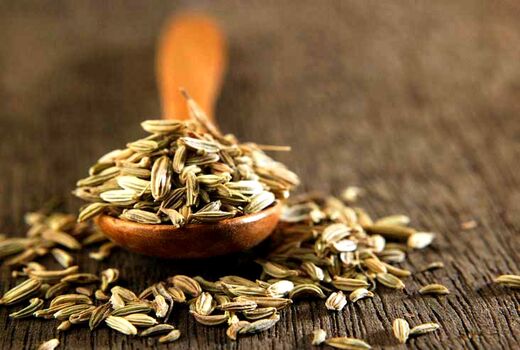 طرح ملی مکانیزه ریزکاشت گیاهان دارویی اجرا شد