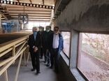 پیگیری مشکلات و رفع موانع تولید صنایع کشاورزی شهرستان فاروج 