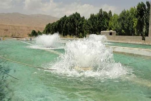 دوره آموزشی پرورش ماهی در استخرهای ذخیره آب کشاورزی در شهرستان آبیک برگزار شد